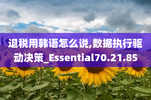 退税用韩语怎么说,数据执行驱动决策_Essential70.21.85