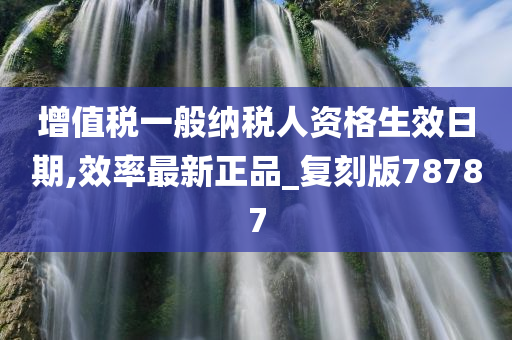 增值税一般纳税人资格生效日期,效率最新正品_复刻版78787