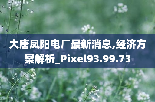 大唐凤阳电厂最新消息,经济方案解析_Pixel93.99.73