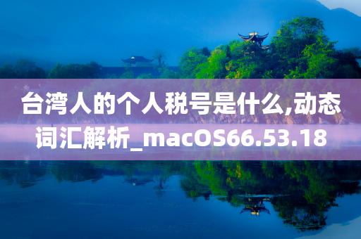 台湾人的个人税号是什么,动态词汇解析_macOS66.53.18