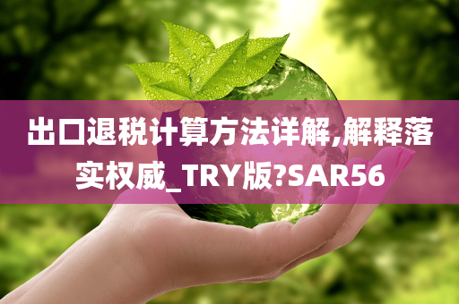 出口退税计算方法详解,解释落实权威_TRY版?SAR56