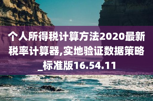 个人所得税计算方法2020最新税率计算器,实地验证数据策略_标准版16.54.11