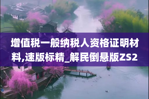 增值税一般纳税人资格证明材料,速版标精_解民倒悬版ZS2