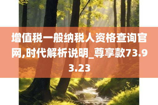 增值税一般纳税人资格查询官网,时代解析说明_尊享款73.93.23