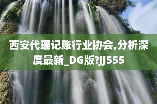 西安代理记账行业协会,分析深度最新_DG版?JJ555