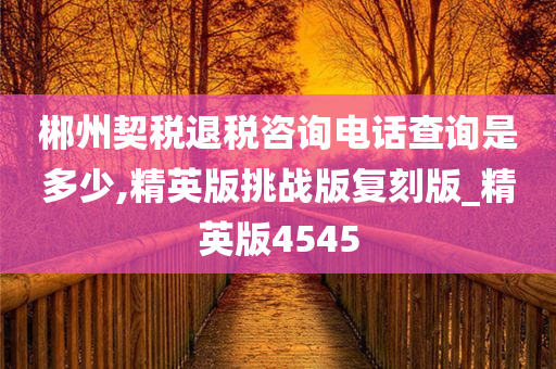 郴州契税退税咨询电话查询是多少,精英版挑战版复刻版_精英版4545