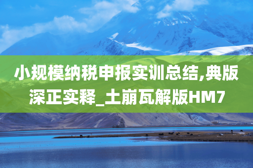 小规模纳税申报实训总结,典版深正实释_土崩瓦解版HM7