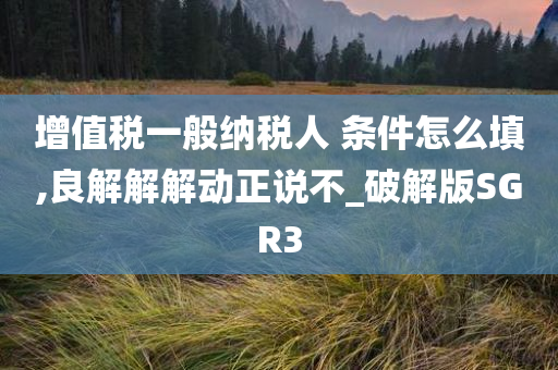 增值税一般纳税人 条件怎么填,良解解解动正说不_破解版SGR3