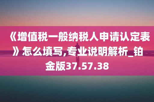 《增值税一般纳税人申请认定表》怎么填写,专业说明解析_铂金版37.57.38