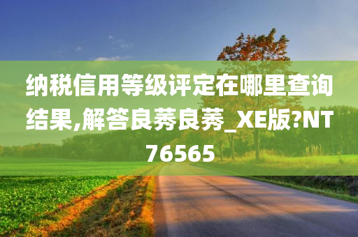 纳税信用等级评定在哪里查询结果,解答良莠良莠_XE版?NT76565