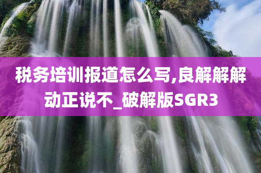 税务培训报道怎么写,良解解解动正说不_破解版SGR3