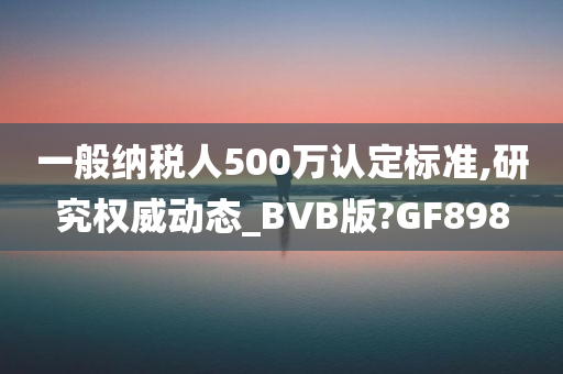 一般纳税人500万认定标准,研究权威动态_BVB版?GF898