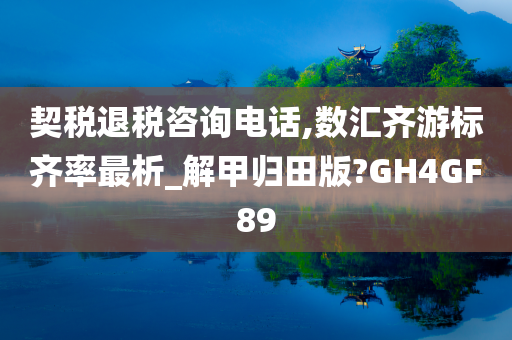 契税退税咨询电话,数汇齐游标齐率最析_解甲归田版?GH4GF89