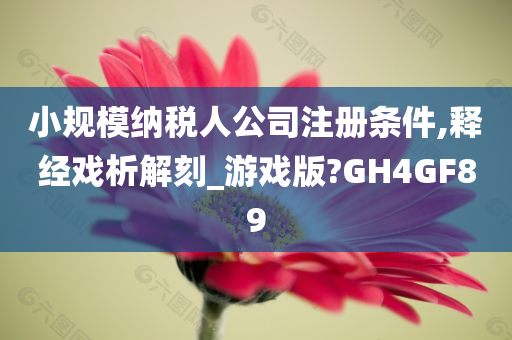 小规模纳税人公司注册条件,释经戏析解刻_游戏版?GH4GF89