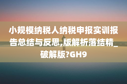 小规模纳税人纳税申报实训报告总结与反思,版解析落结精_破解版?GH9