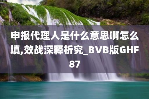 申报代理人是什么意思啊怎么填,效战深释析究_BVB版GHF87