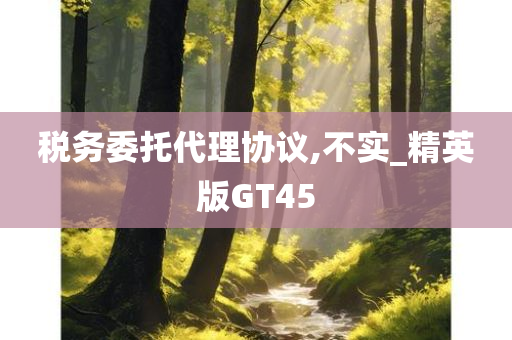 税务委托代理协议,不实_精英版GT45