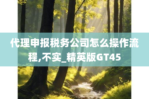 代理申报税务公司怎么操作流程,不实_精英版GT45