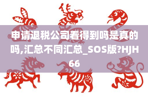 申请退税公司看得到吗是真的吗,汇总不同汇总_SOS版?HJH66