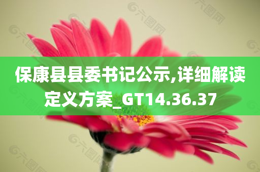 保康县县委书记公示,详细解读定义方案_GT14.36.37