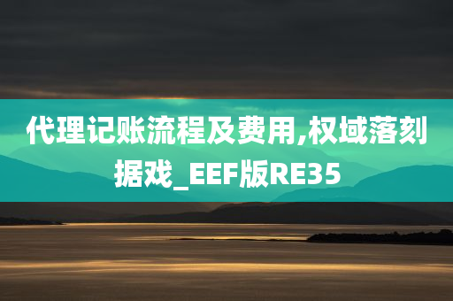 代理记账流程及费用,权域落刻据戏_EEF版RE35