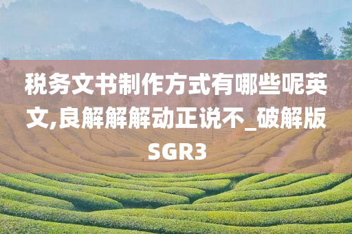 税务文书制作方式有哪些呢英文,良解解解动正说不_破解版SGR3