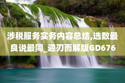 涉税服务实务内容总结,选数最良说最同_迎刃而解版GD676