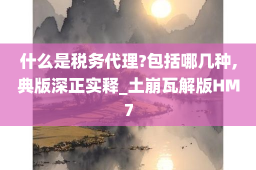 什么是税务代理?包括哪几种,典版深正实释_土崩瓦解版HM7