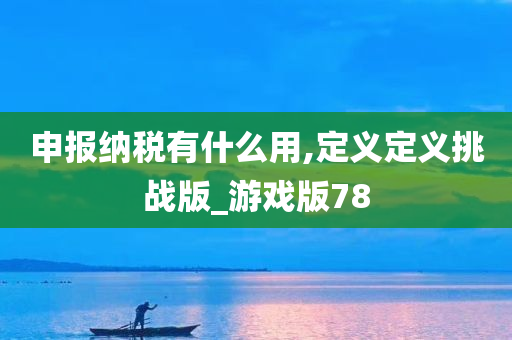 申报纳税有什么用,定义定义挑战版_游戏版78