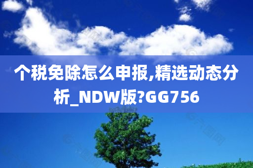 个税免除怎么申报,精选动态分析_NDW版?GG756