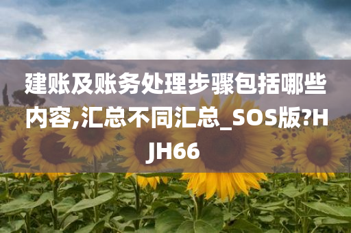 建账及账务处理步骤包括哪些内容,汇总不同汇总_SOS版?HJH66