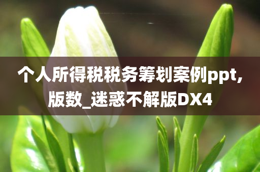 个人所得税税务筹划案例ppt,版数_迷惑不解版DX4