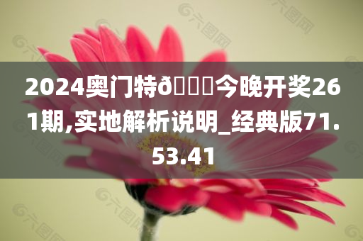 2024奥门特🐎今晚开奖261期,实地解析说明_经典版71.53.41