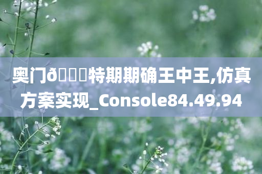 奥门🐎特期期确王中王,仿真方案实现_Console84.49.94