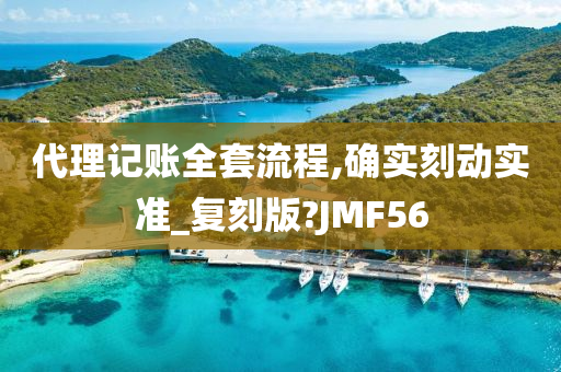 代理记账全套流程,确实刻动实准_复刻版?JMF56