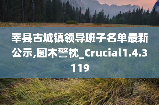 莘县古城镇领导班子名单最新公示,圆木警枕_Crucial1.4.3119