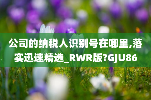 公司的纳税人识别号在哪里,落实迅速精选_RWR版?GJU86