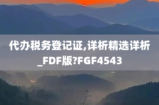 代办税务登记证,详析精选详析_FDF版?FGF4543