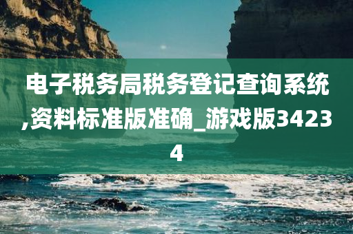 电子税务局税务登记查询系统,资料标准版准确_游戏版34234