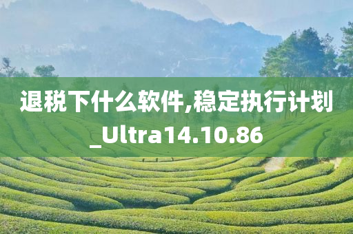 退税下什么软件,稳定执行计划_Ultra14.10.86