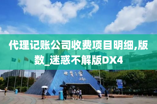 代理记账公司收费项目明细,版数_迷惑不解版DX4