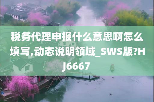 税务代理申报什么意思啊怎么填写,动态说明领域_SWS版?HJ6667