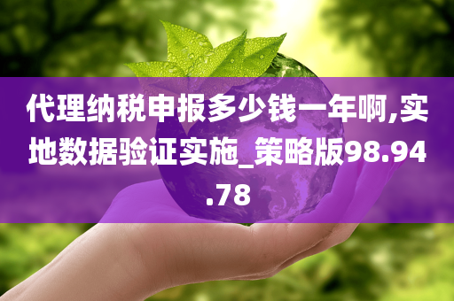 代理纳税申报多少钱一年啊,实地数据验证实施_策略版98.94.78