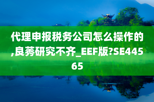 代理申报税务公司怎么操作的,良莠研究不齐_EEF版?SE44565