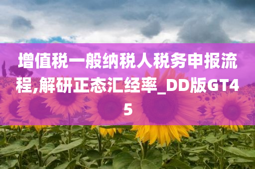 增值税一般纳税人税务申报流程,解研正态汇经率_DD版GT45