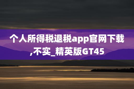 个人所得税退税app官网下载,不实_精英版GT45