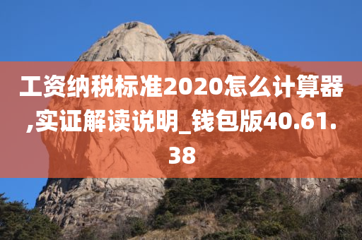 工资纳税标准2020怎么计算器,实证解读说明_钱包版40.61.38