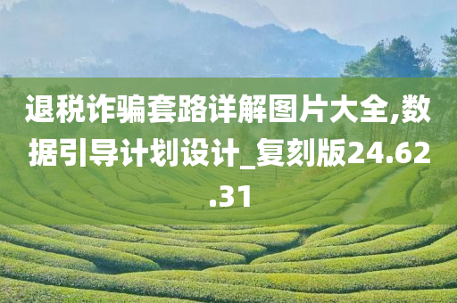 退税诈骗套路详解图片大全,数据引导计划设计_复刻版24.62.31