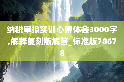 纳税申报实训心得体会3000字,解释复刻版解答_标准版78678