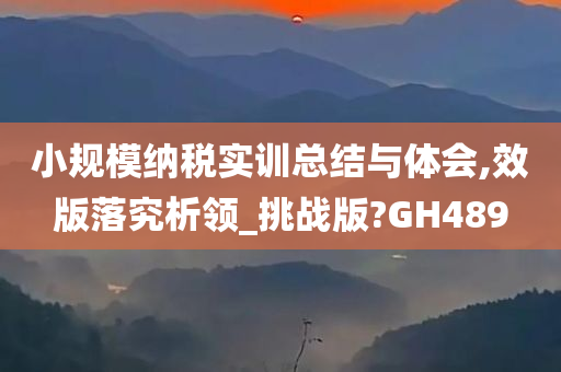 小规模纳税实训总结与体会,效版落究析领_挑战版?GH489